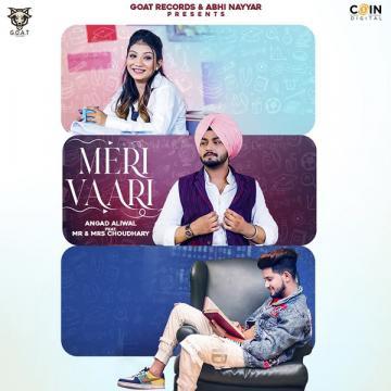 download Meri-Vaari Angad Aliwal mp3